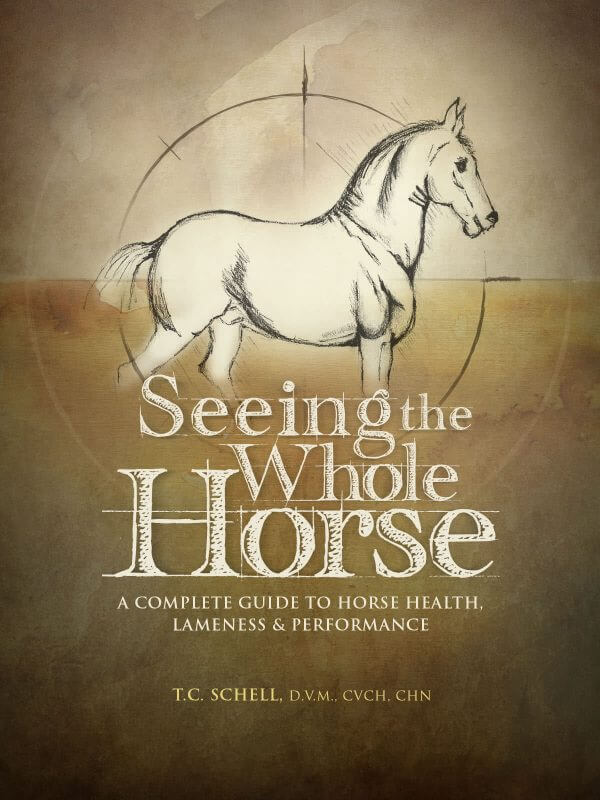 Seeing-the-Whole-Horse-Book
